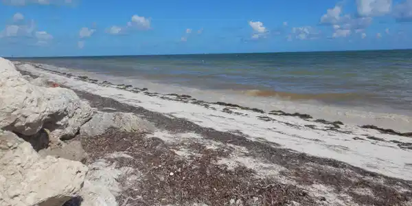 Image 4: Beach