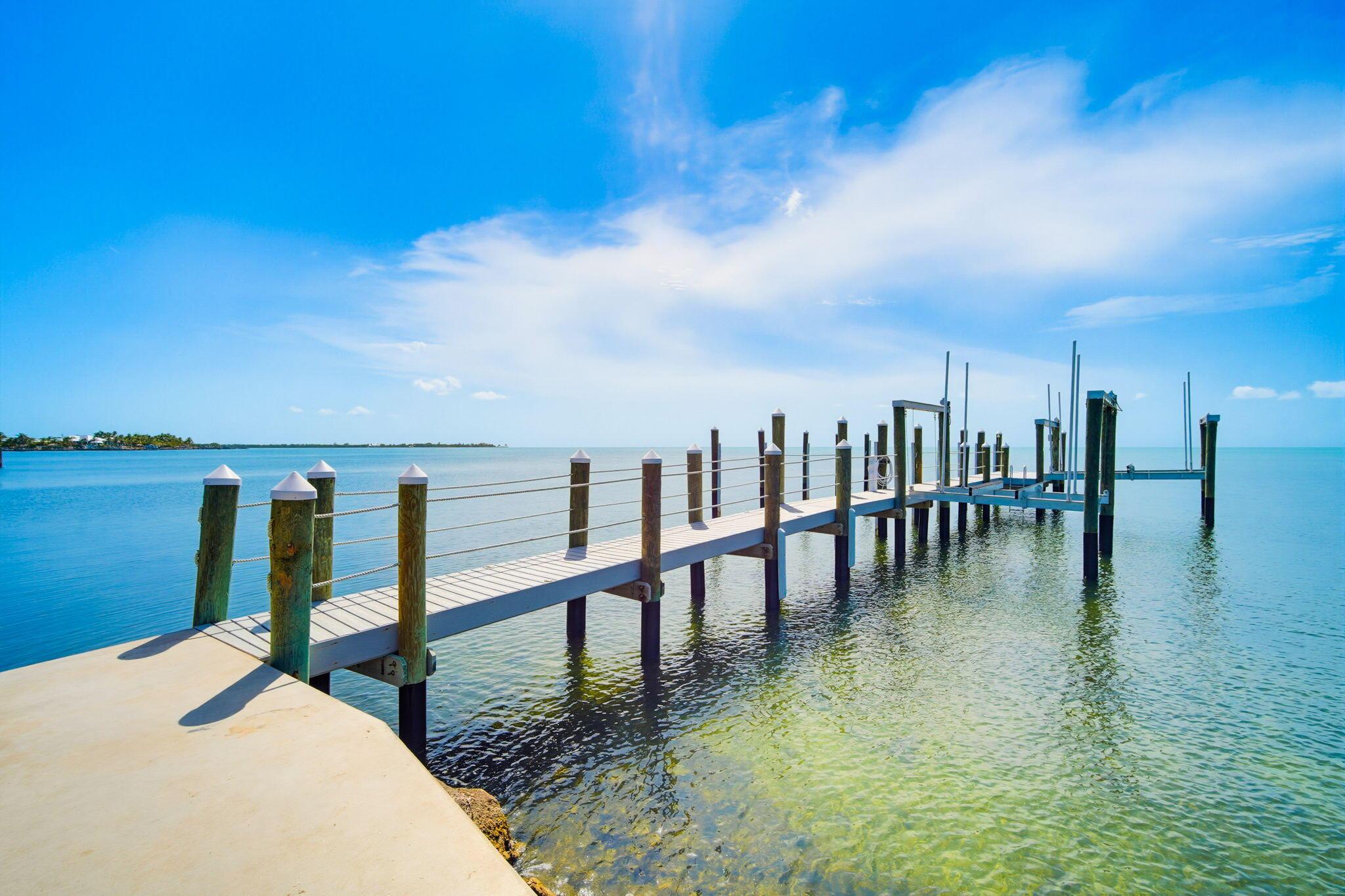 Image 2: 100' Dock