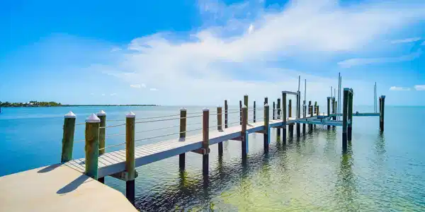 Image 2: 100' Dock
