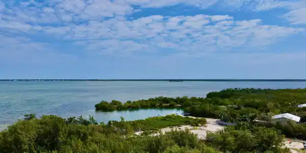 Image 2: View from house