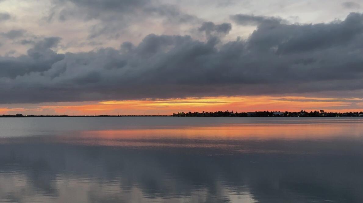 Image 3: Image 1-16-26 at 2.54PM