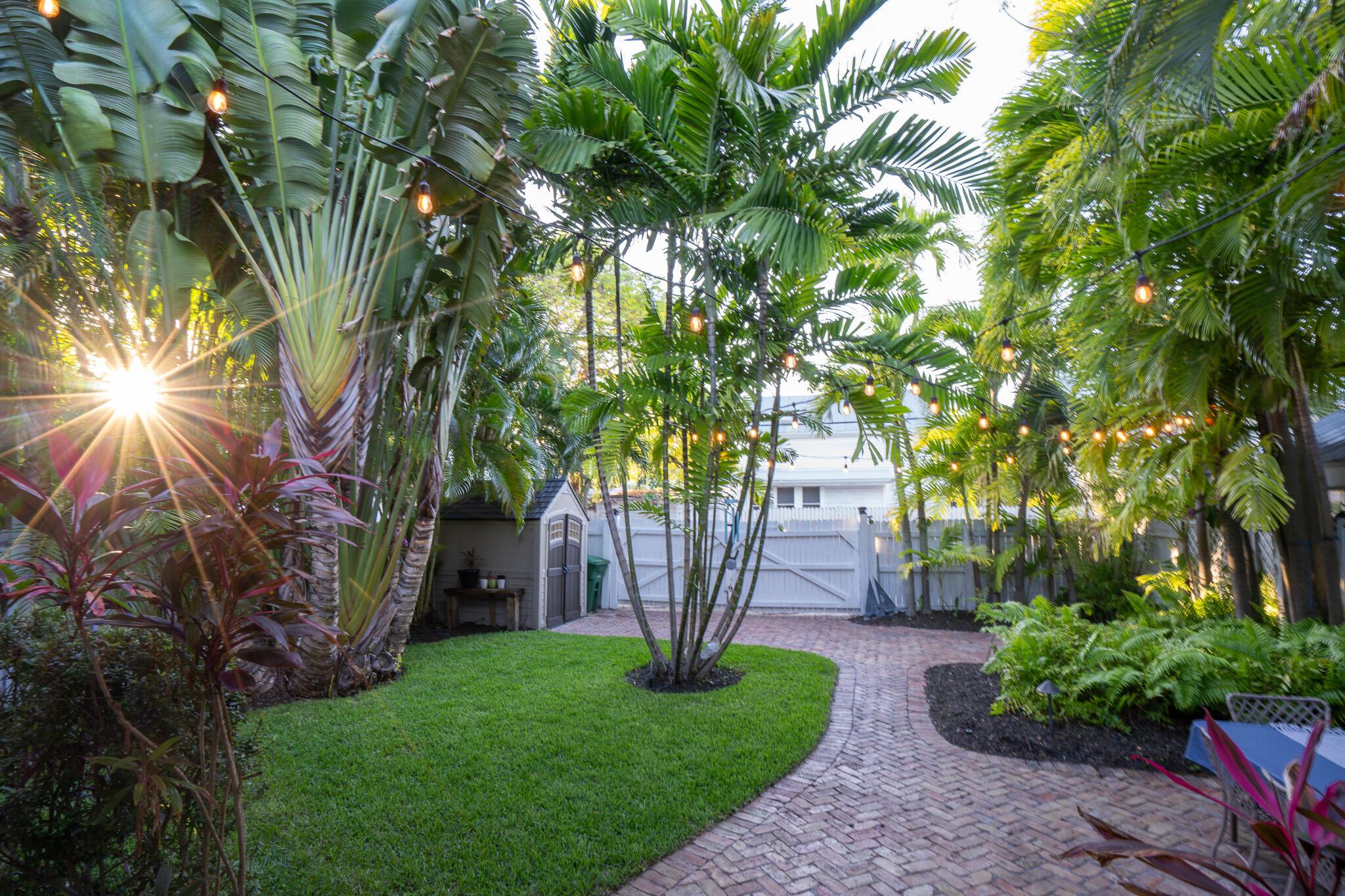 Image 3: Stunning Palms