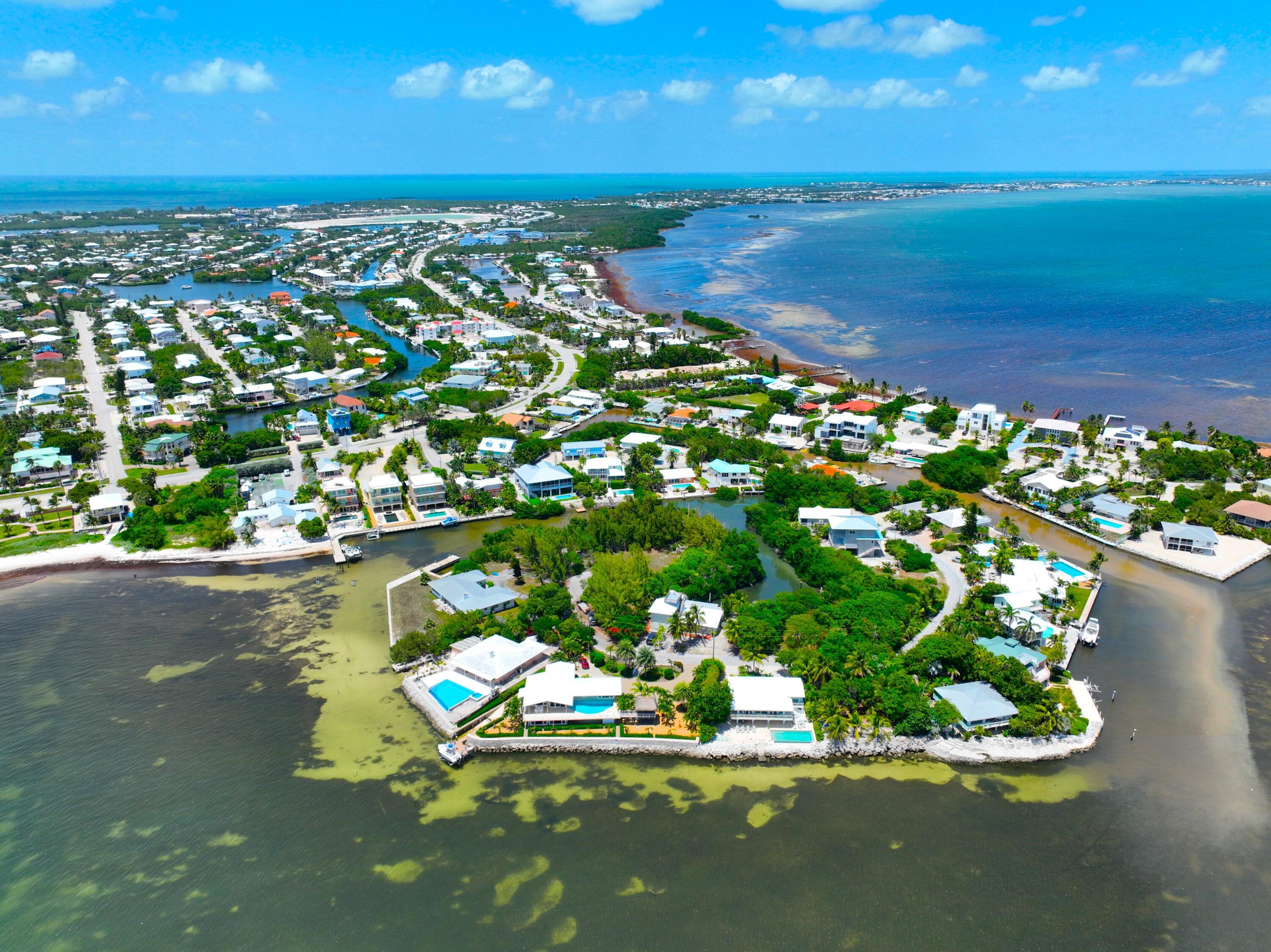 Image 1: TREASURE ISLAND