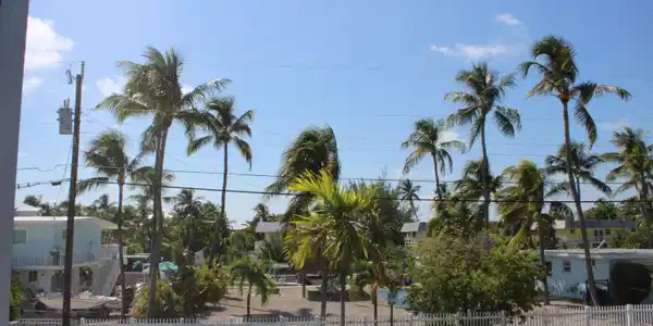 119 Cortez Drive