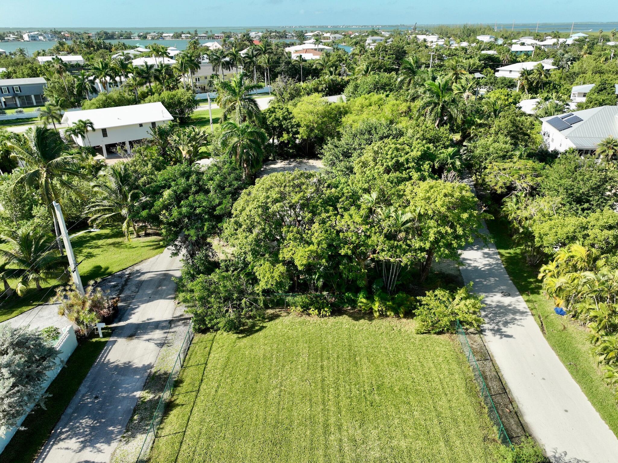 Image 4: dji_fly_20241024_060842_221_172980302657