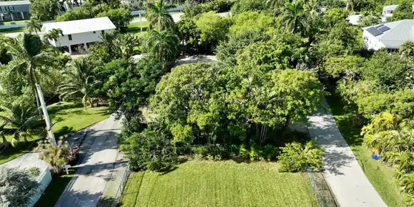Image 4: dji_fly_20241024_060842_221_172980302657