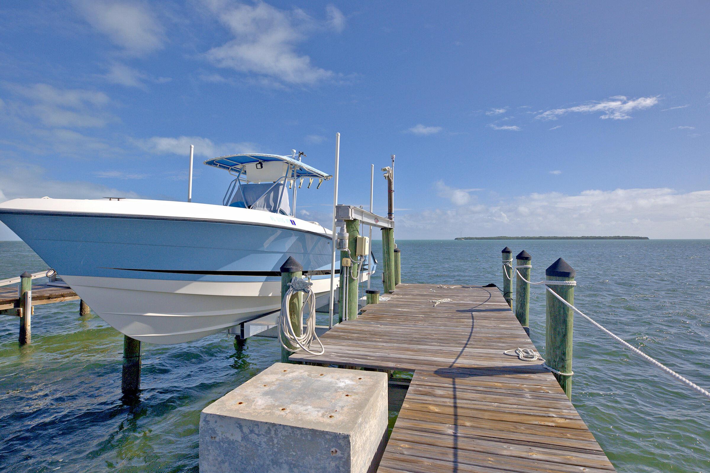 Image 4: Boat Lift