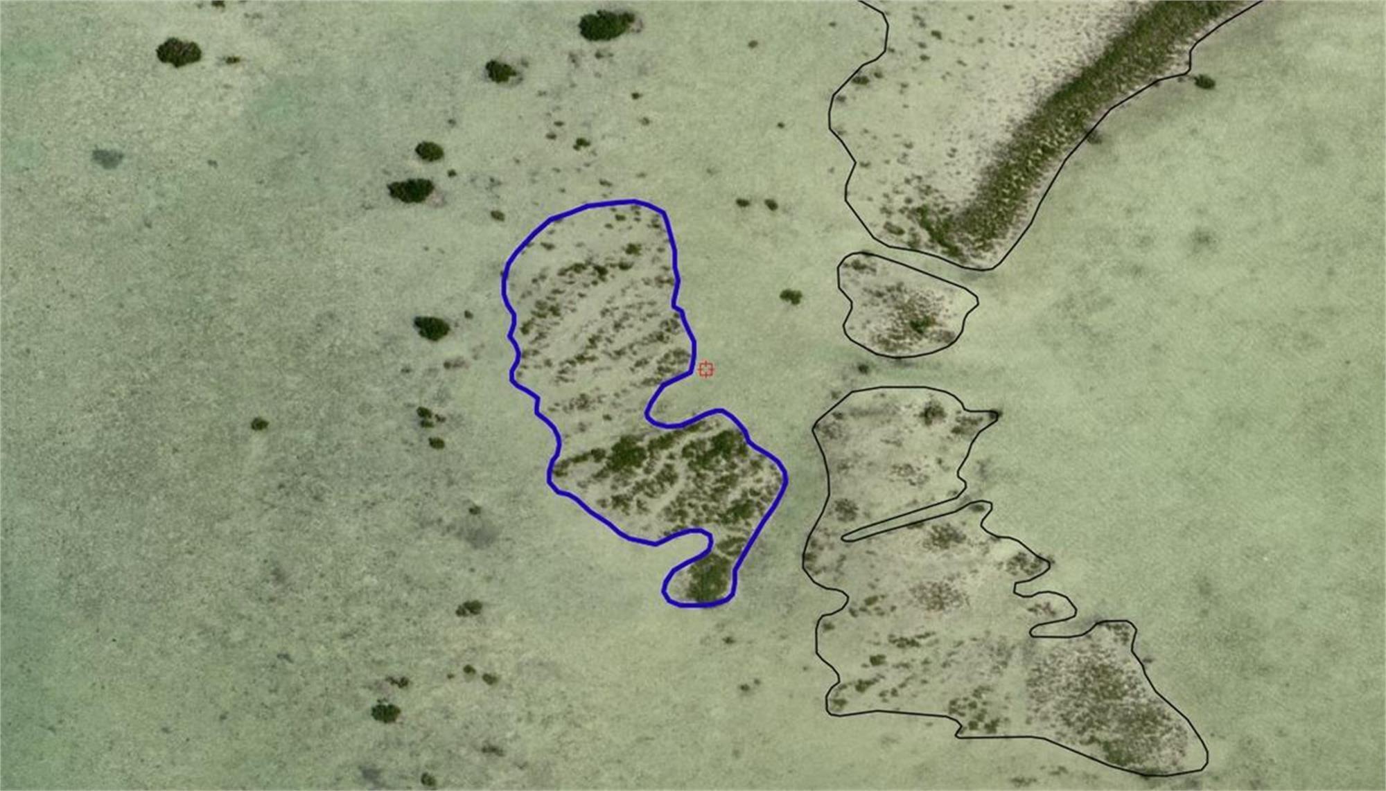 Image 2: Saddlebunch