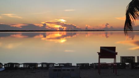 31253 Hibiscus Drive