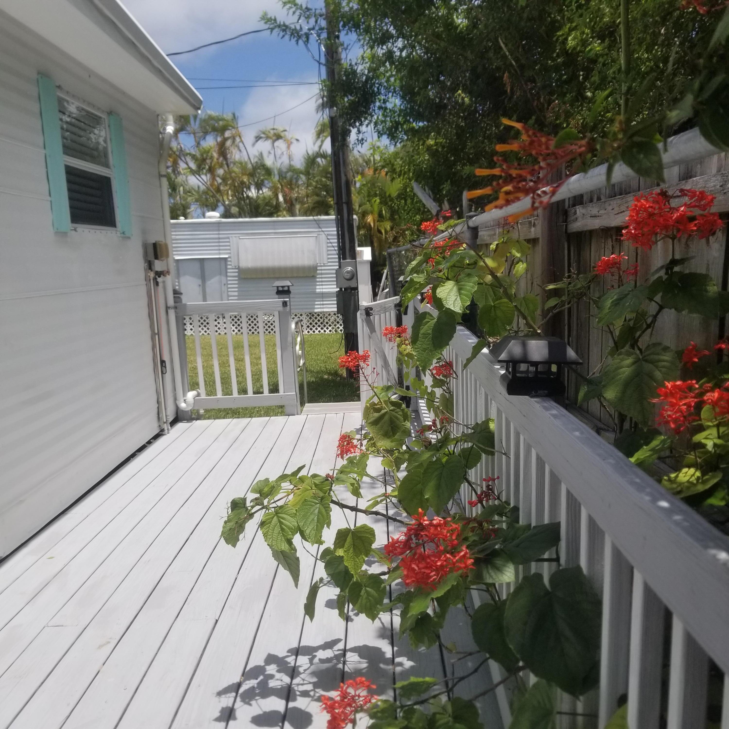 Image 3: 4-20240509_125210