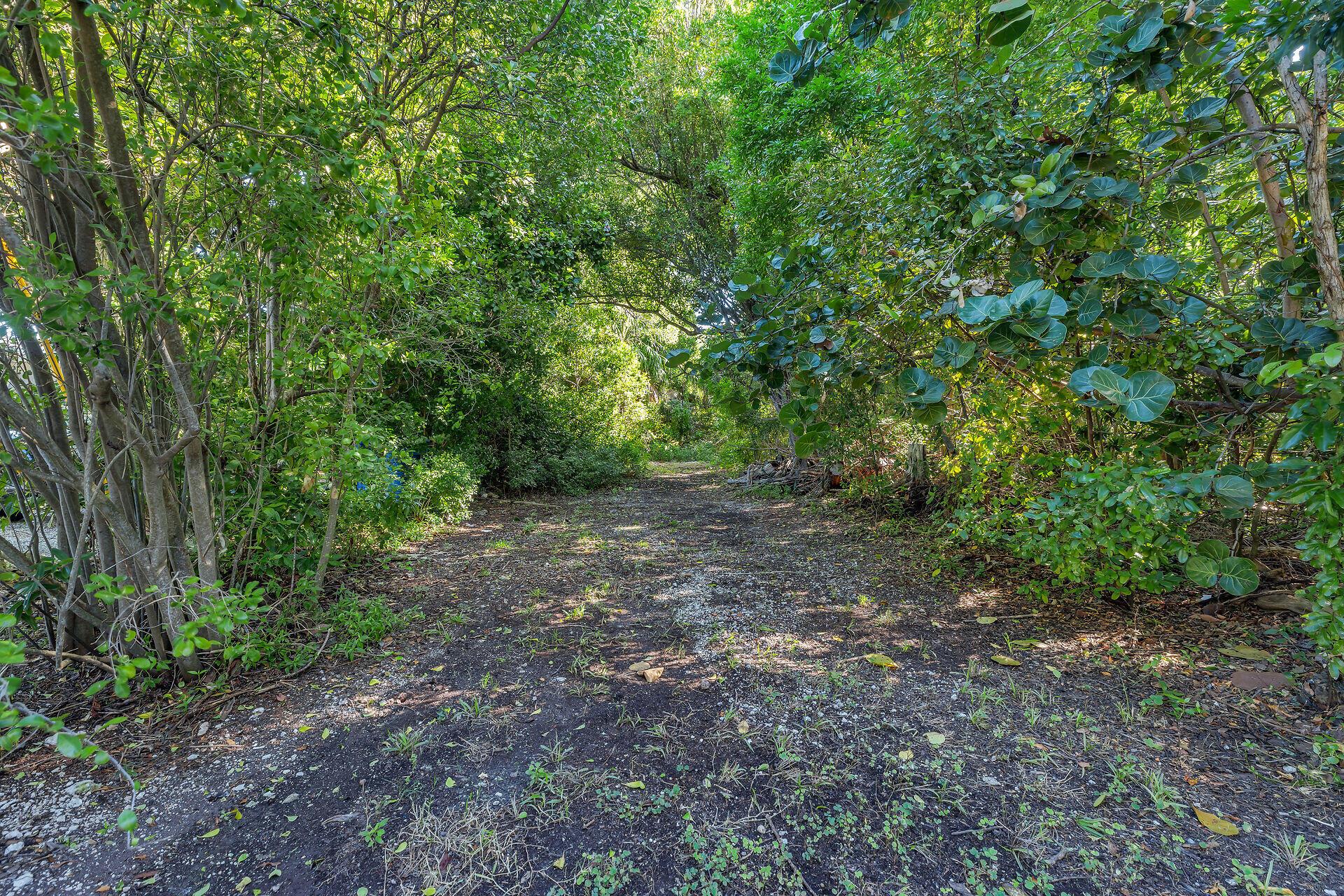 Image 4: vacant lot Apache St