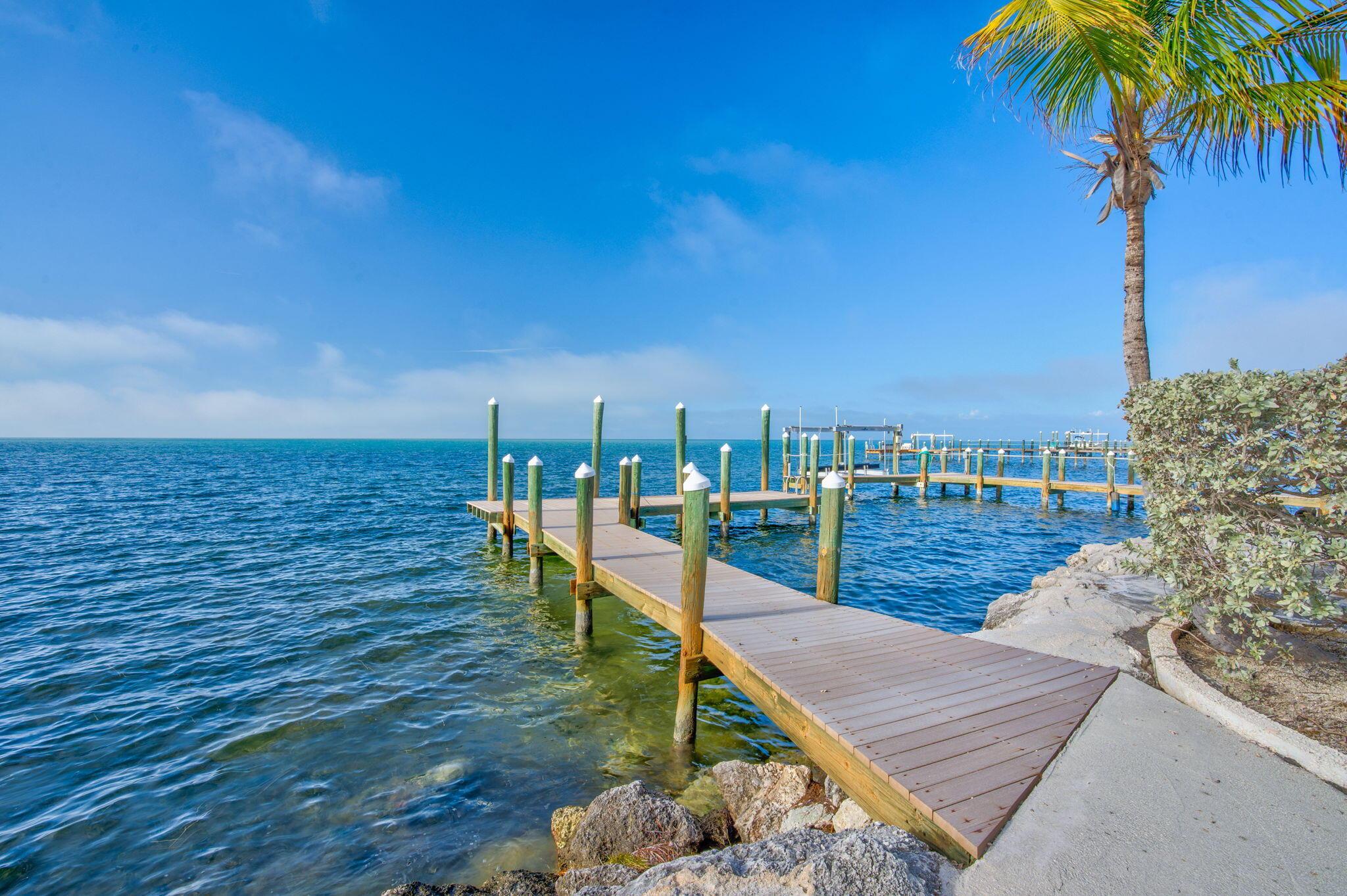 Image 3: Dock
