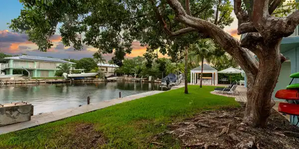 Image 4: Back yard