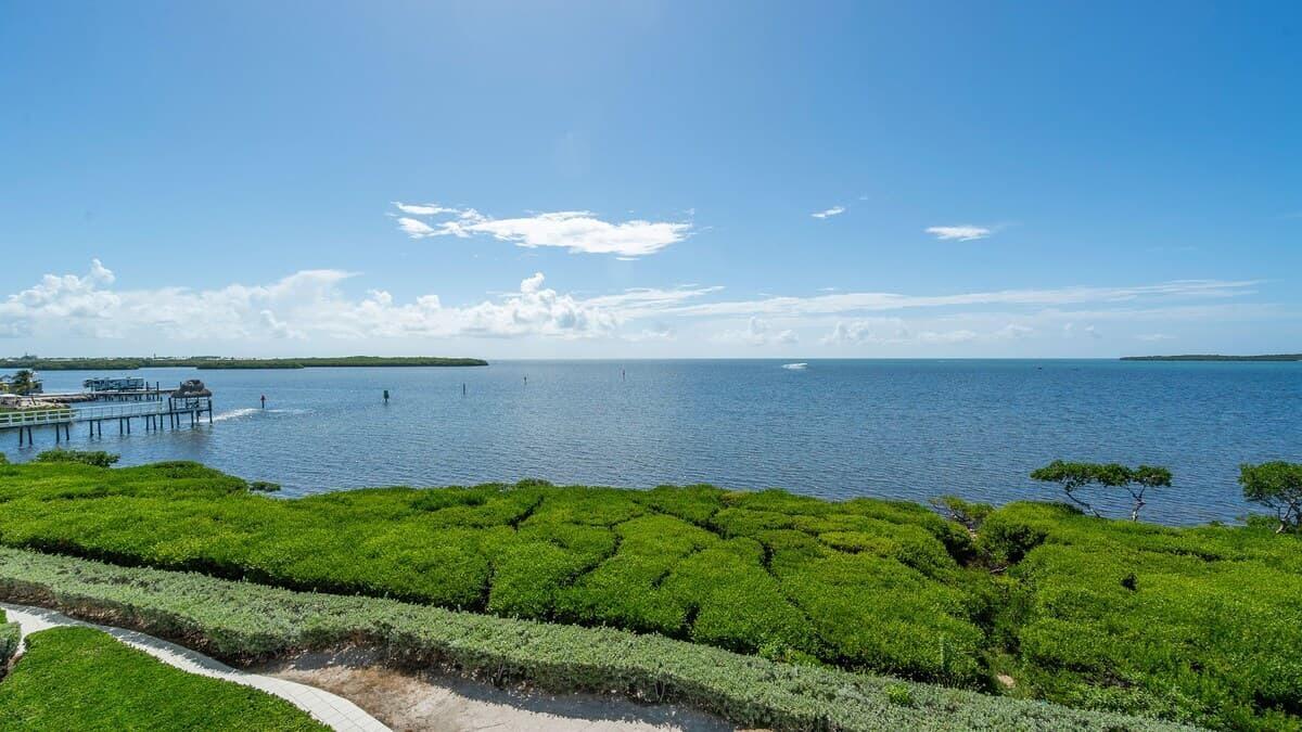 Image 3: Open Ocean View