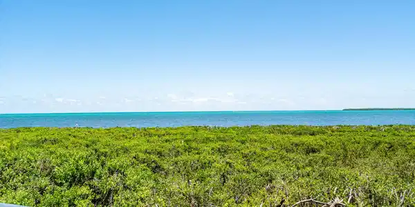 Image 3: WOW Ocean views