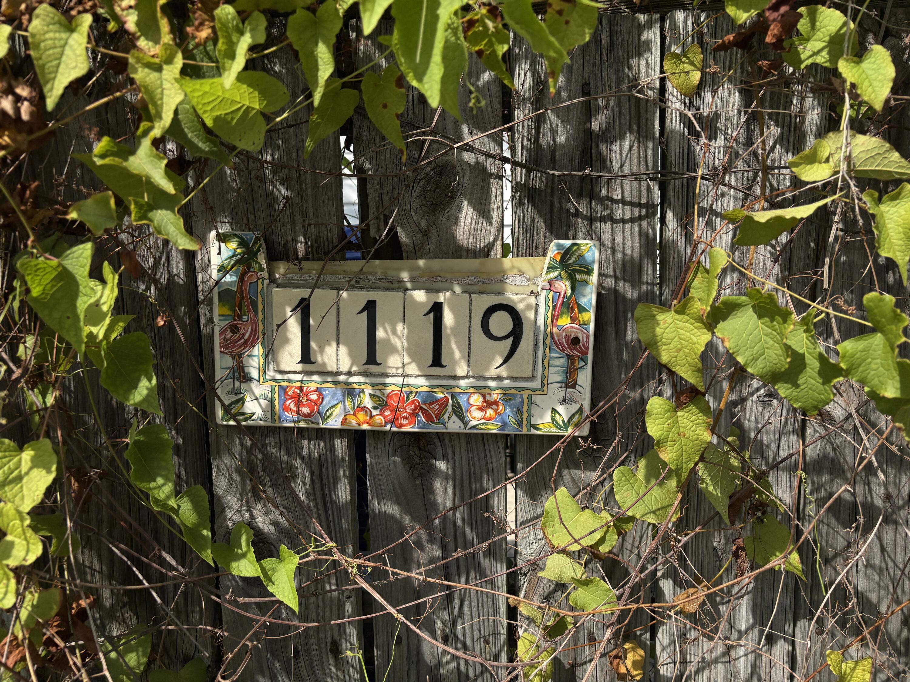 Image 2: IMG_4302
