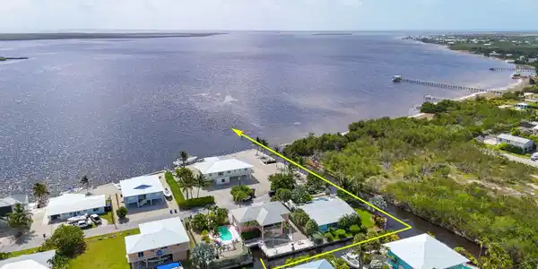 Image 2: Open Water in 2 mins