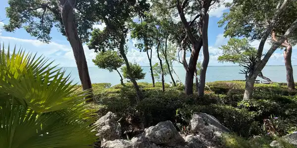 Image 2: Water Views