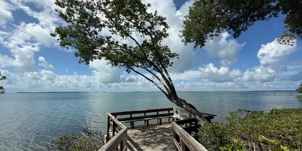 Image 3: Martini Dock