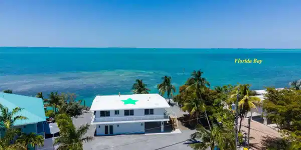 442 Palm Drive