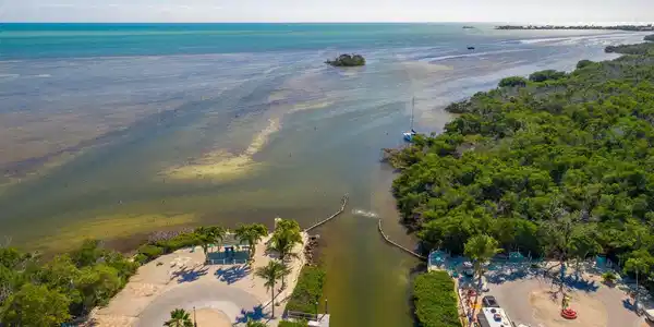 Image 4: Waterfront Aerial