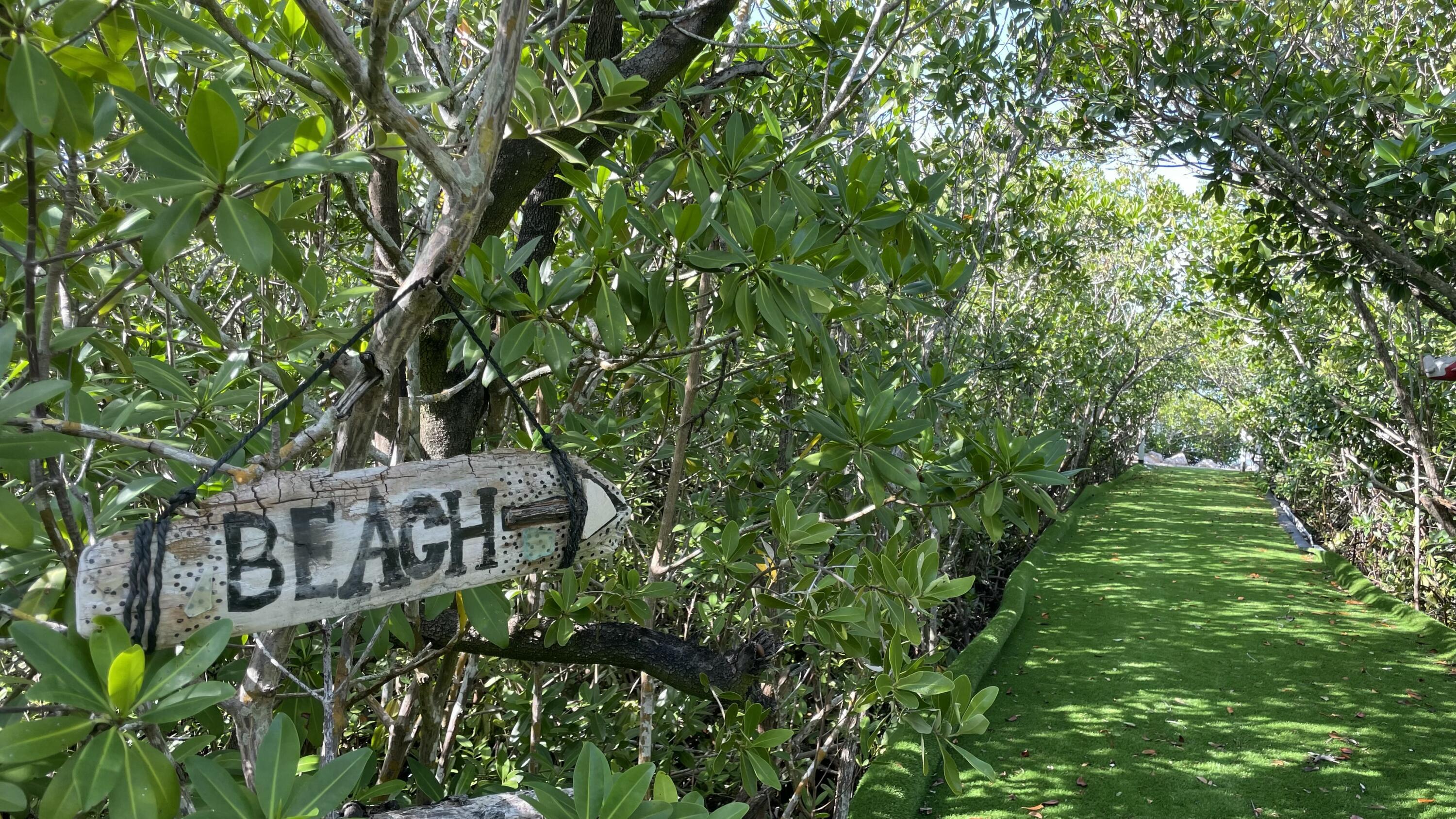 Image 2: tempImageDKHSVI