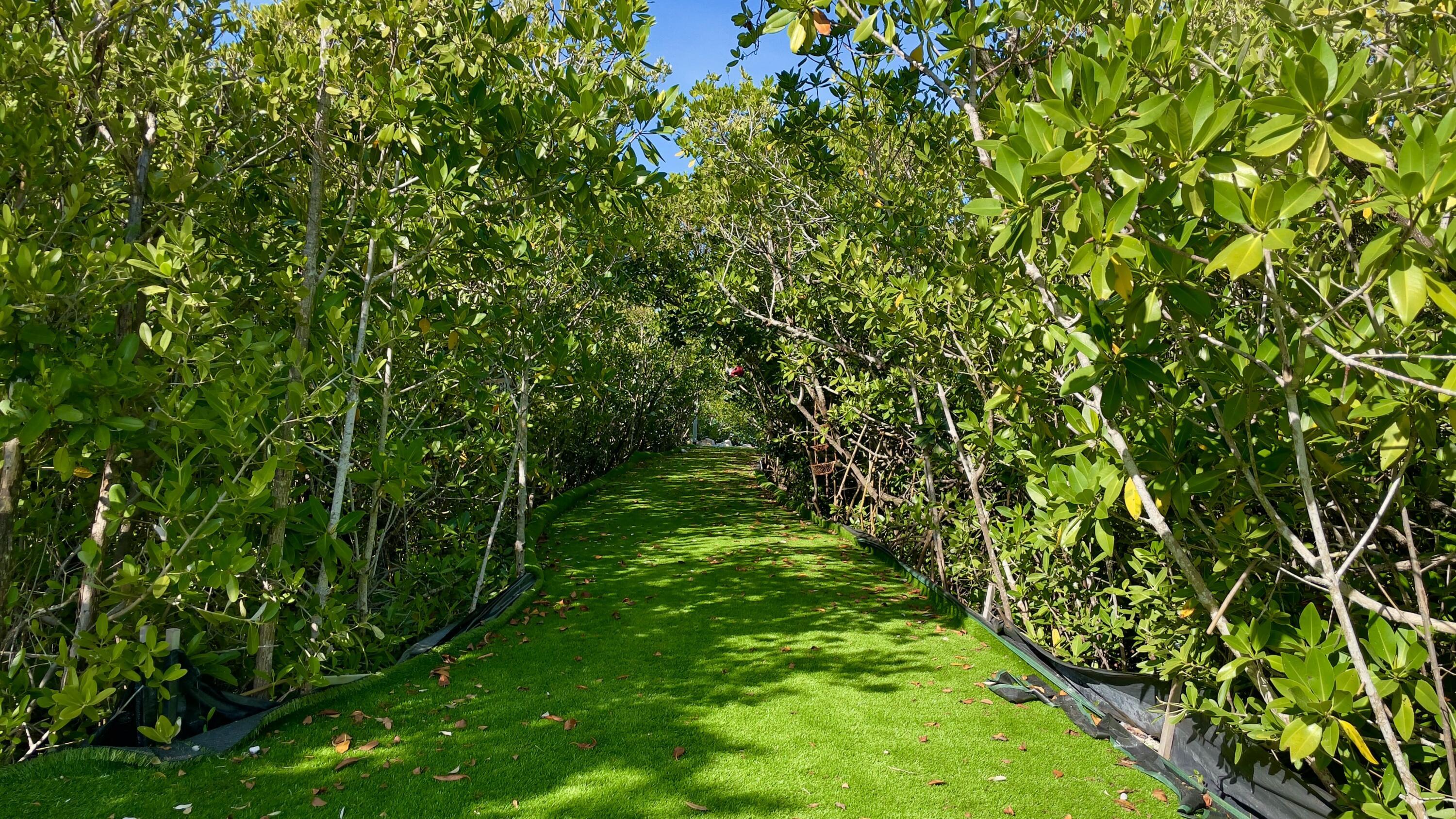 Image 3: tempImageur3WdI