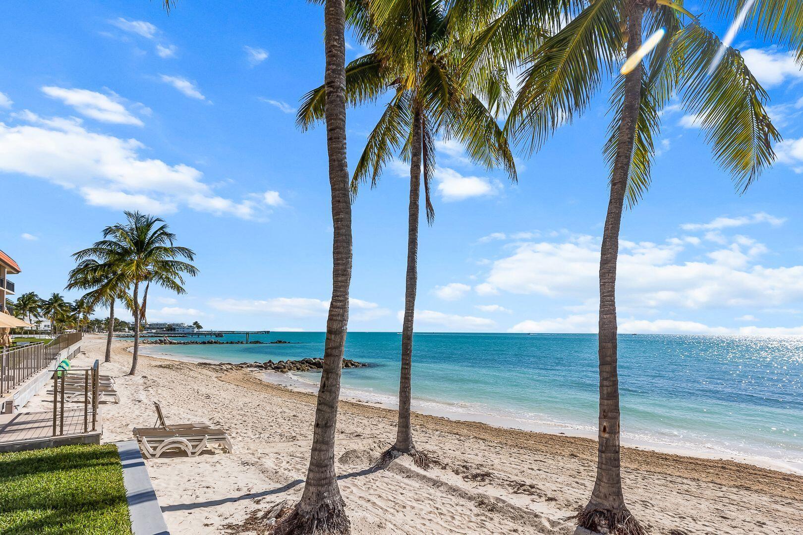Image 3: 06_Outdoor_Oceanfront_Beach_PalmTrees_Lo