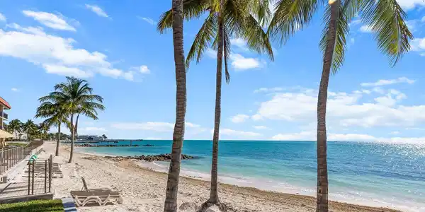 Image 3: 06_Outdoor_Oceanfront_Beach_PalmTrees_Lo