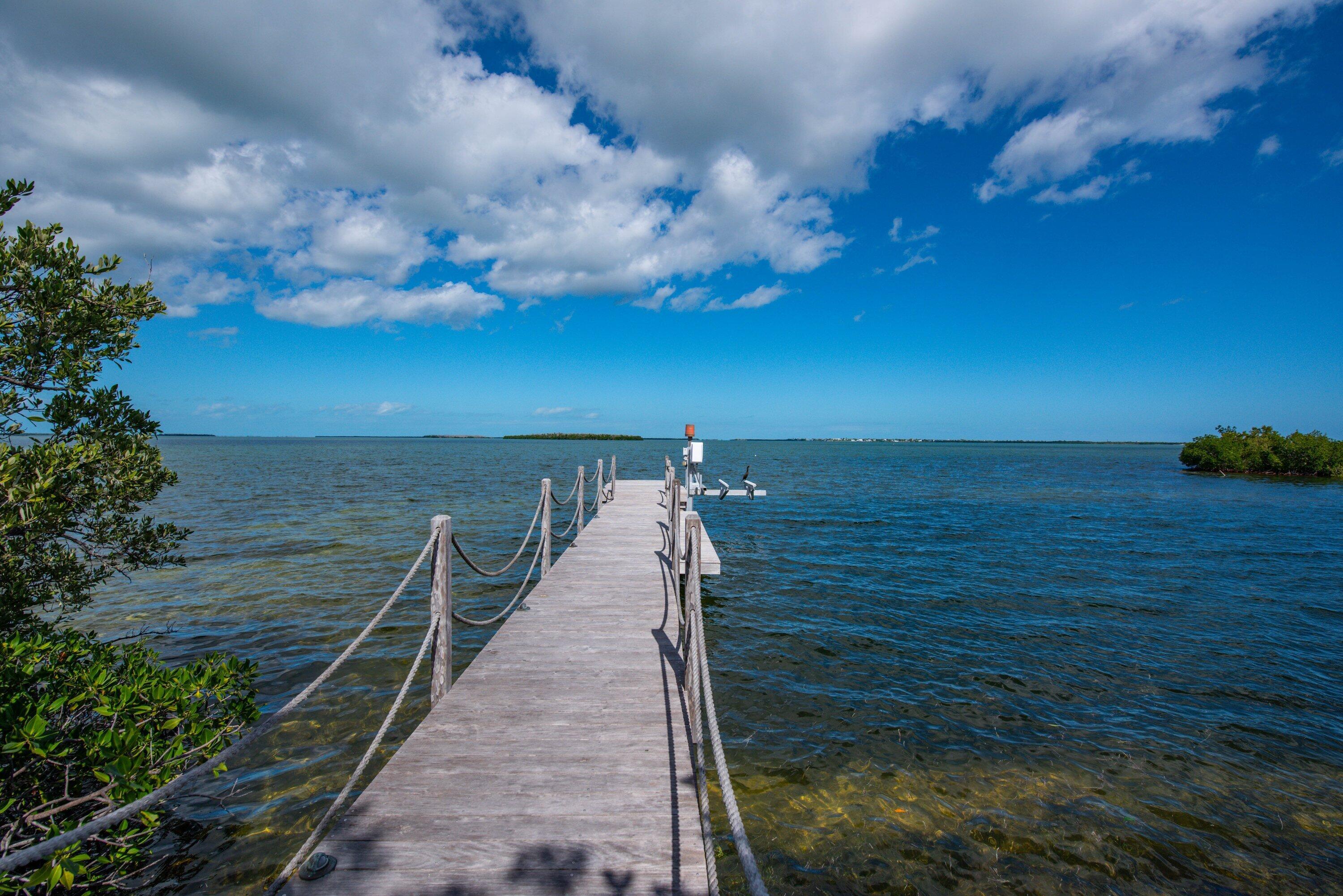 Image 2: 80 ft dock