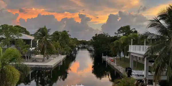 29393 Cypress Drive