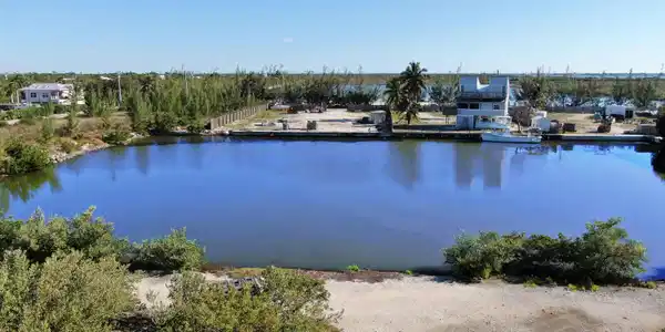 Image 4: pic 1
