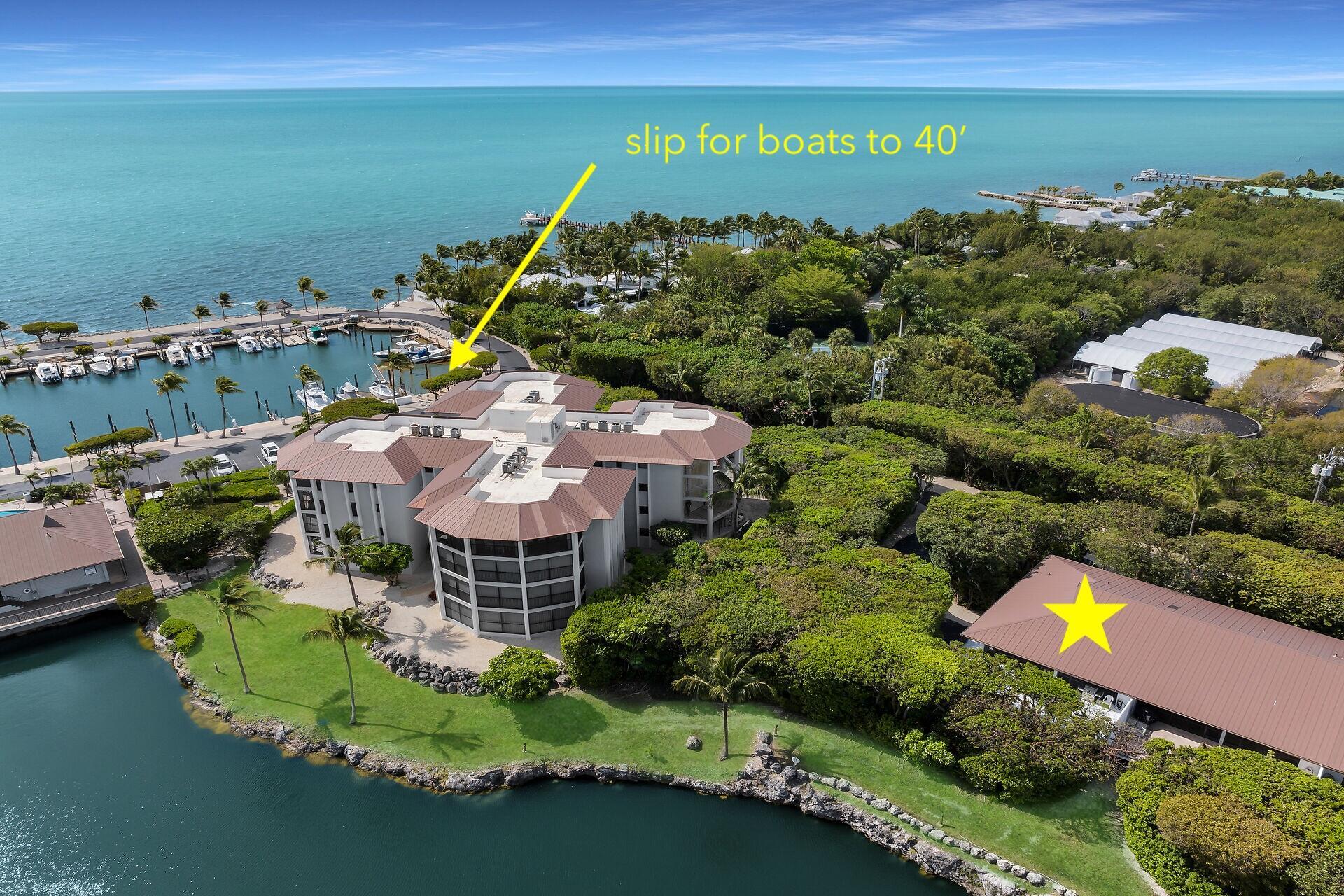 Image 4: virtual-tour-362984-06