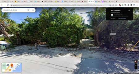 Coconut Drive