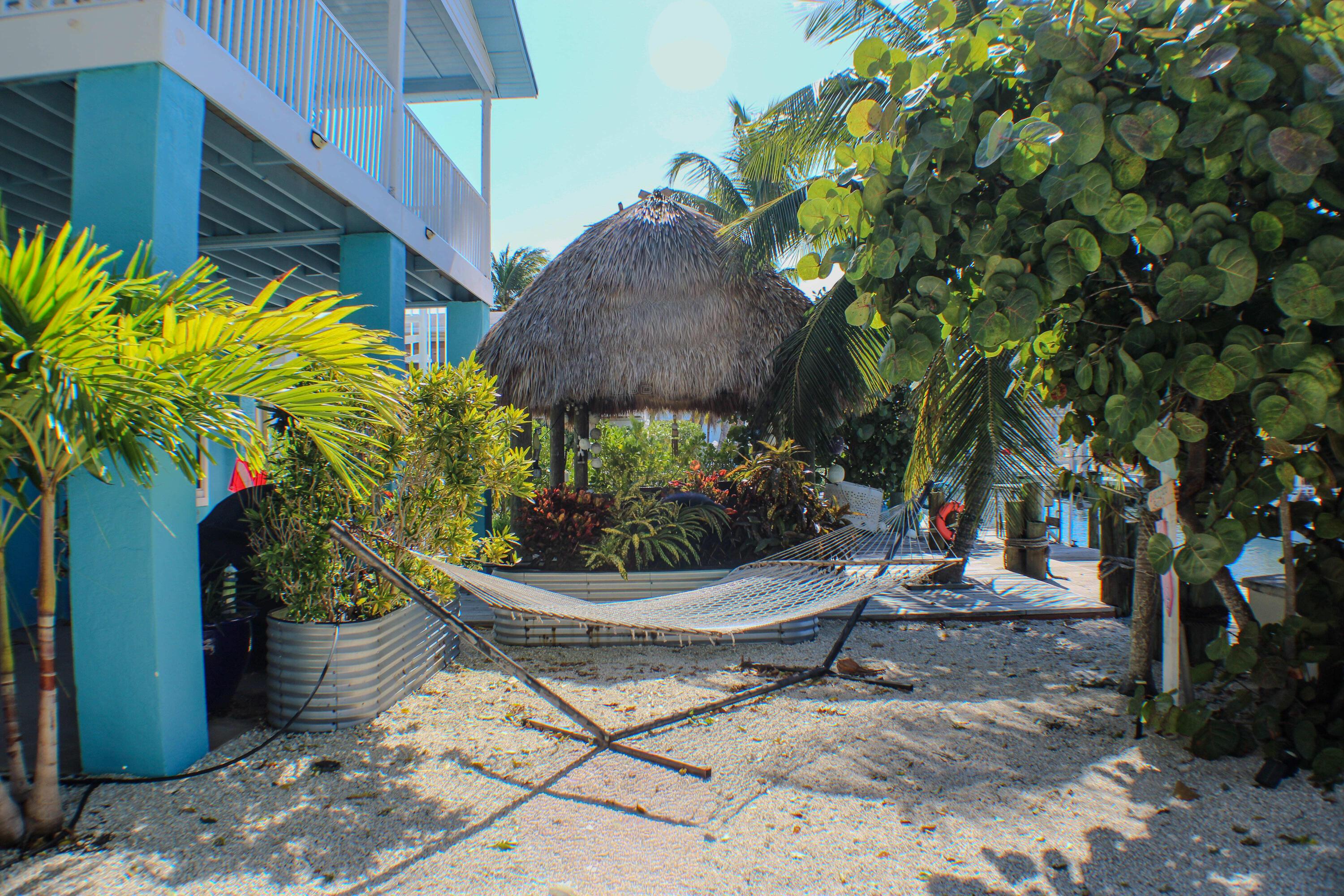 Image 4: Hammock/ tiki hut