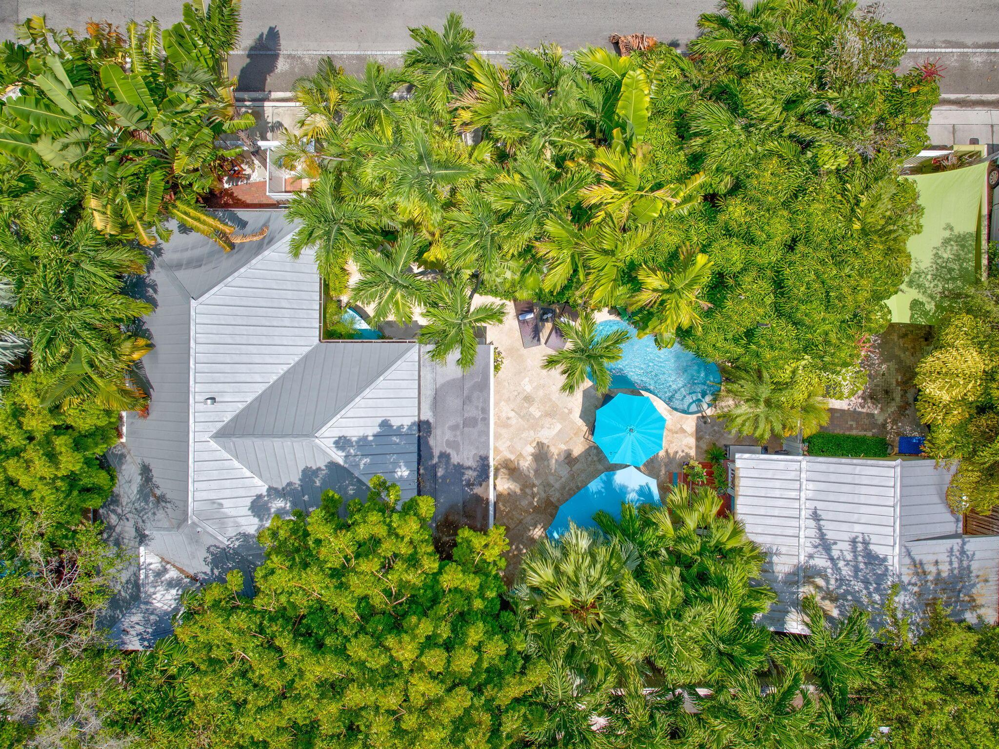 Image 2: Tropical Compound