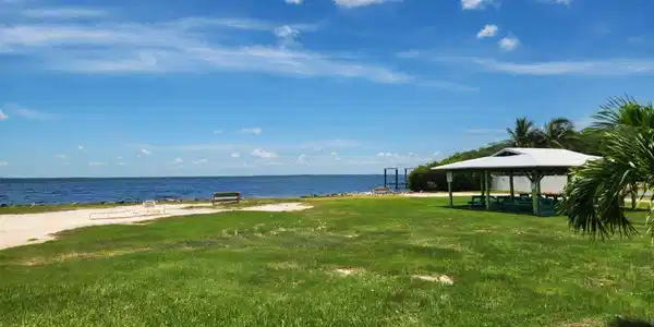 Image 2: Park