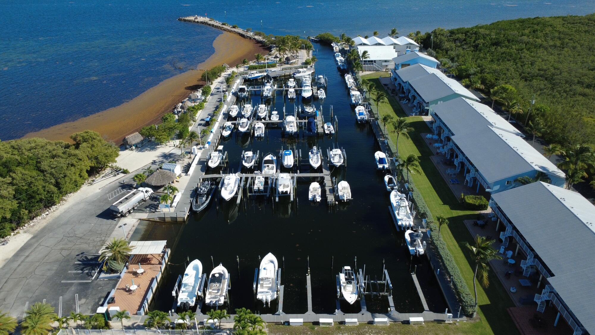 Image 4: dji_fly_20260521_171420_38_177939