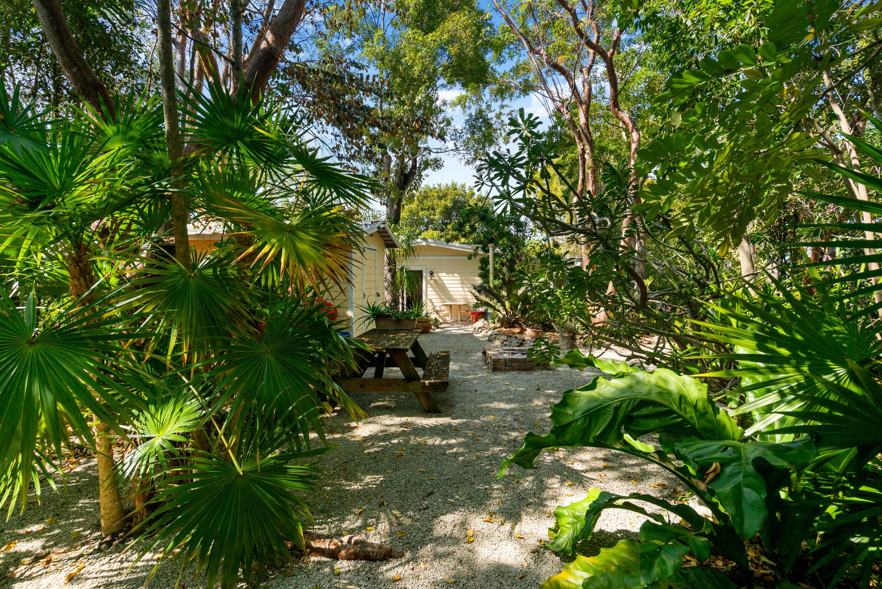 Image 2: Tropical grounds