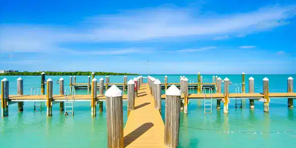 Image 3: Dock
