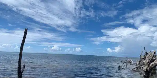 20 Cooks Island