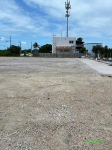 20 Coco Plum Drive