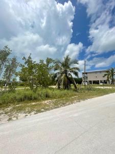 1146 Thatch Lane