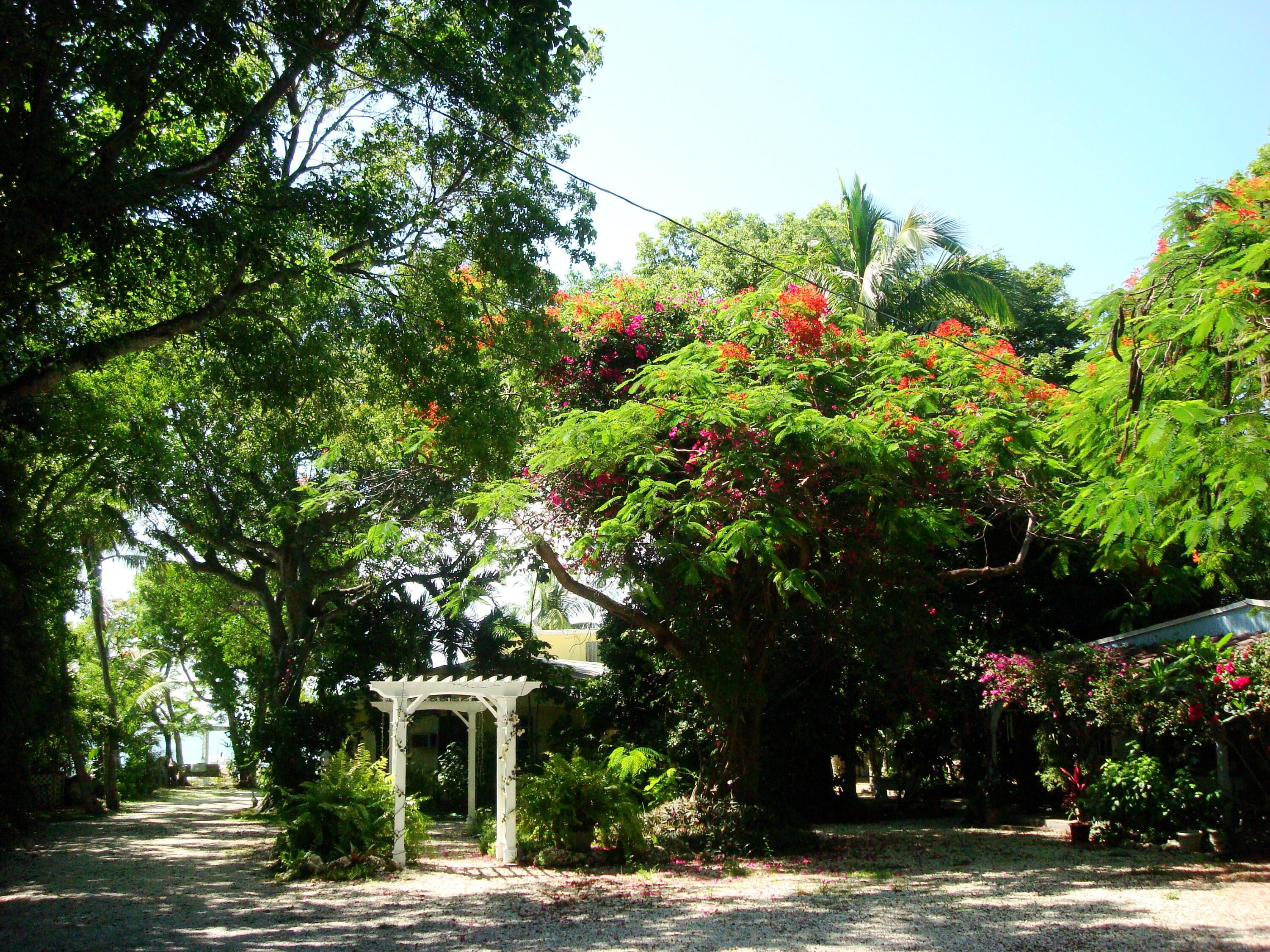 Image 3: Bayfront home