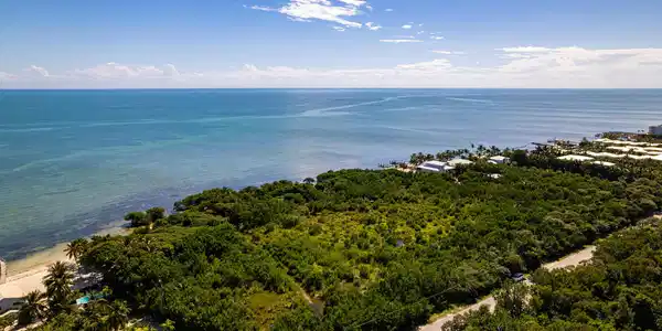 Image 2: Over 7 Acres