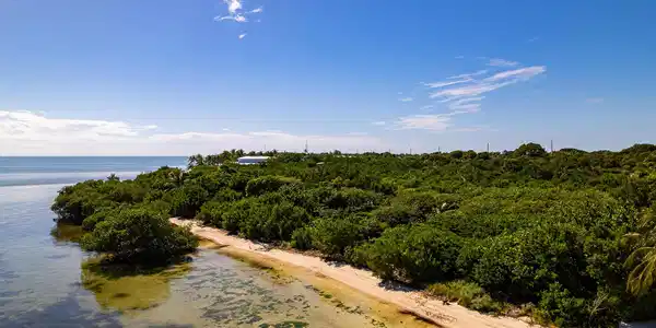 Image 4: Natural Sandy Beachfront
