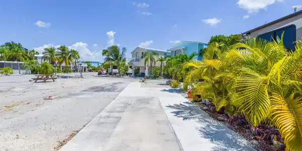 Image 3: Paved Lot