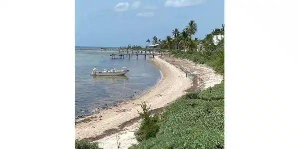 4W Cook Island