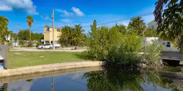 1A Palm Drive