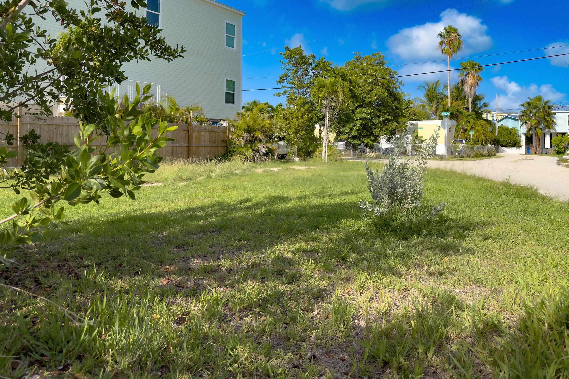 Image 4: 04 1A Palm Drive